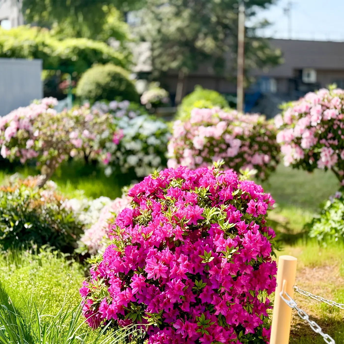 オフィスエントランスに設置された季節の花壇とプランター