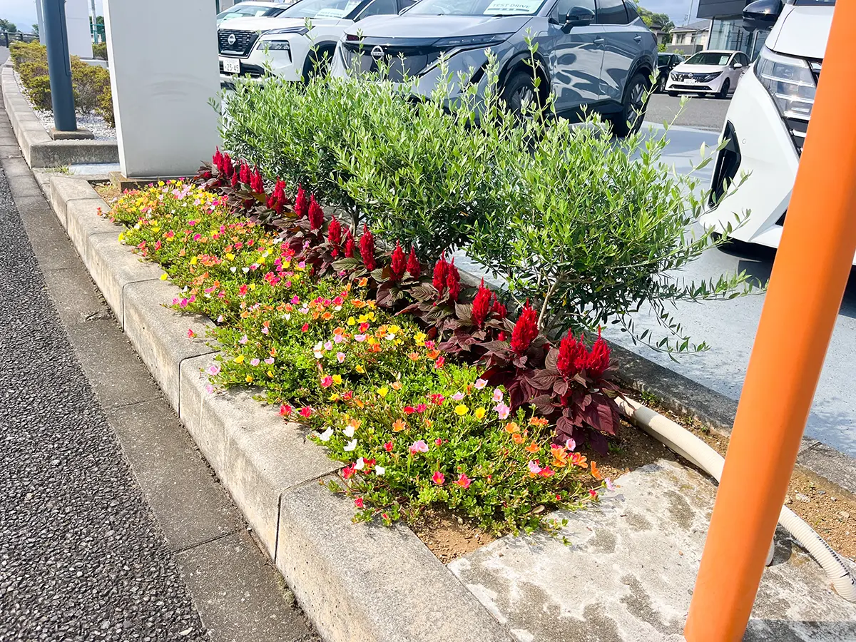 店舗前の花壇
