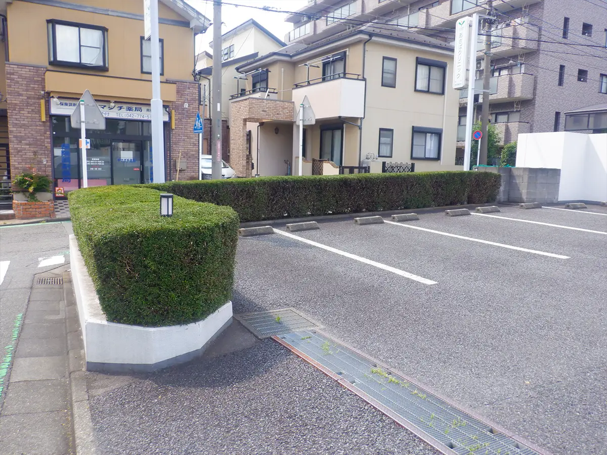 管理された庭木